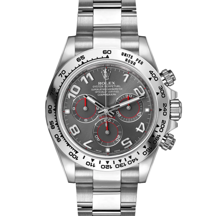 Rolex Daytona 116509 Grey Arabic Watches