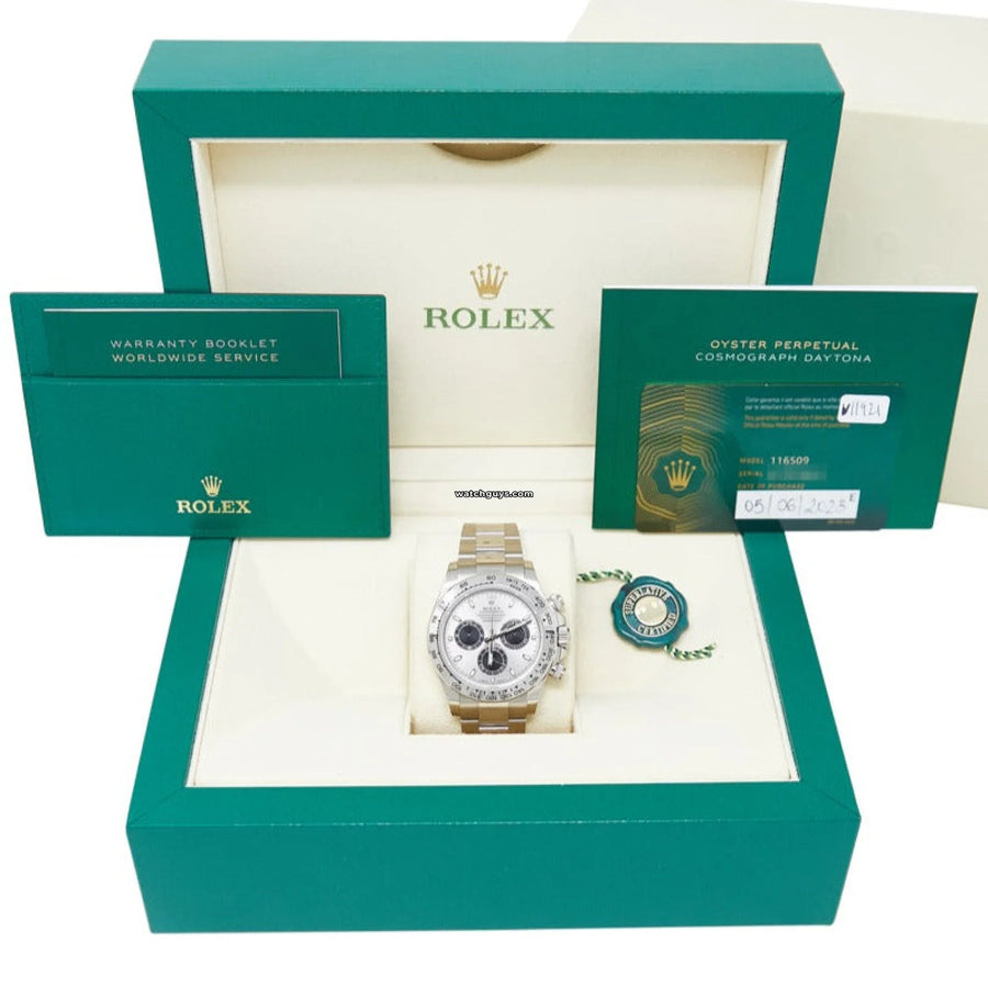 Rolex Daytona 116509 Steel Dial 18K White Gold Watches