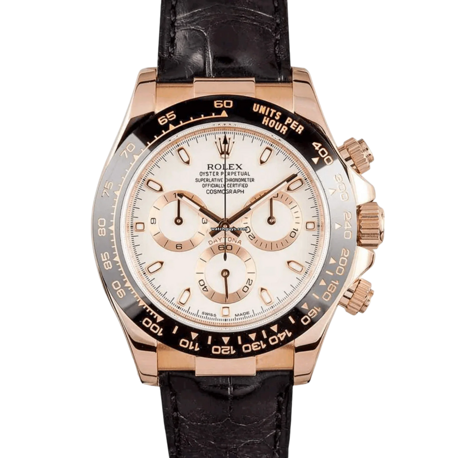 Rolex Daytona 116515 Ivory Dial Watches