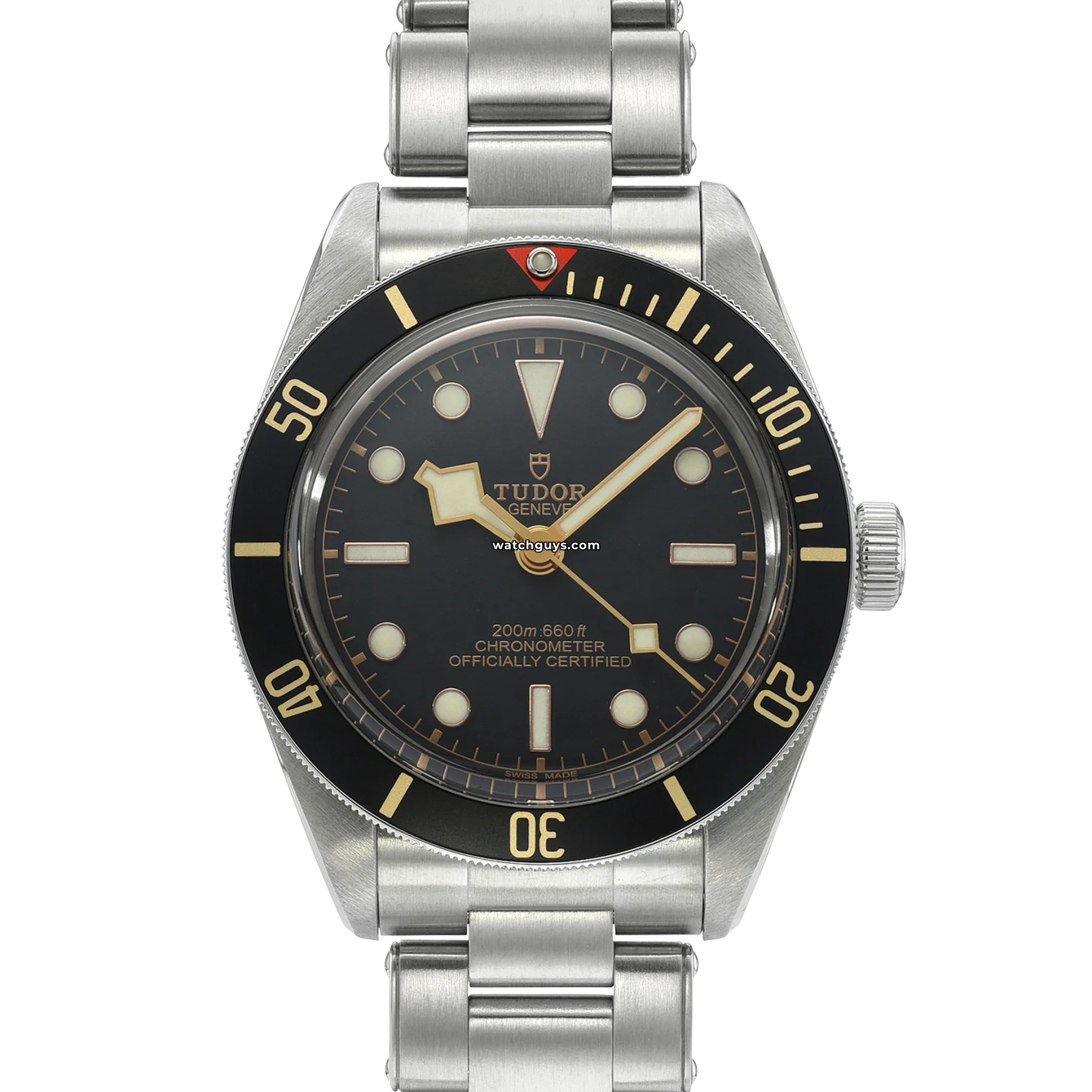 Tudor Black Bay